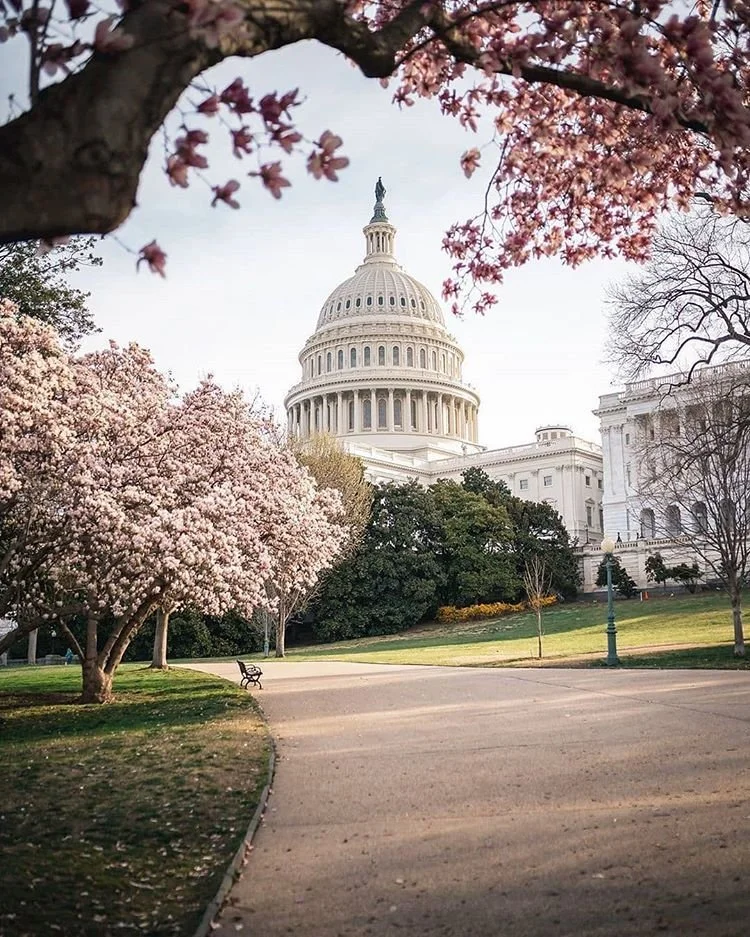 Washington D.C. Capitol